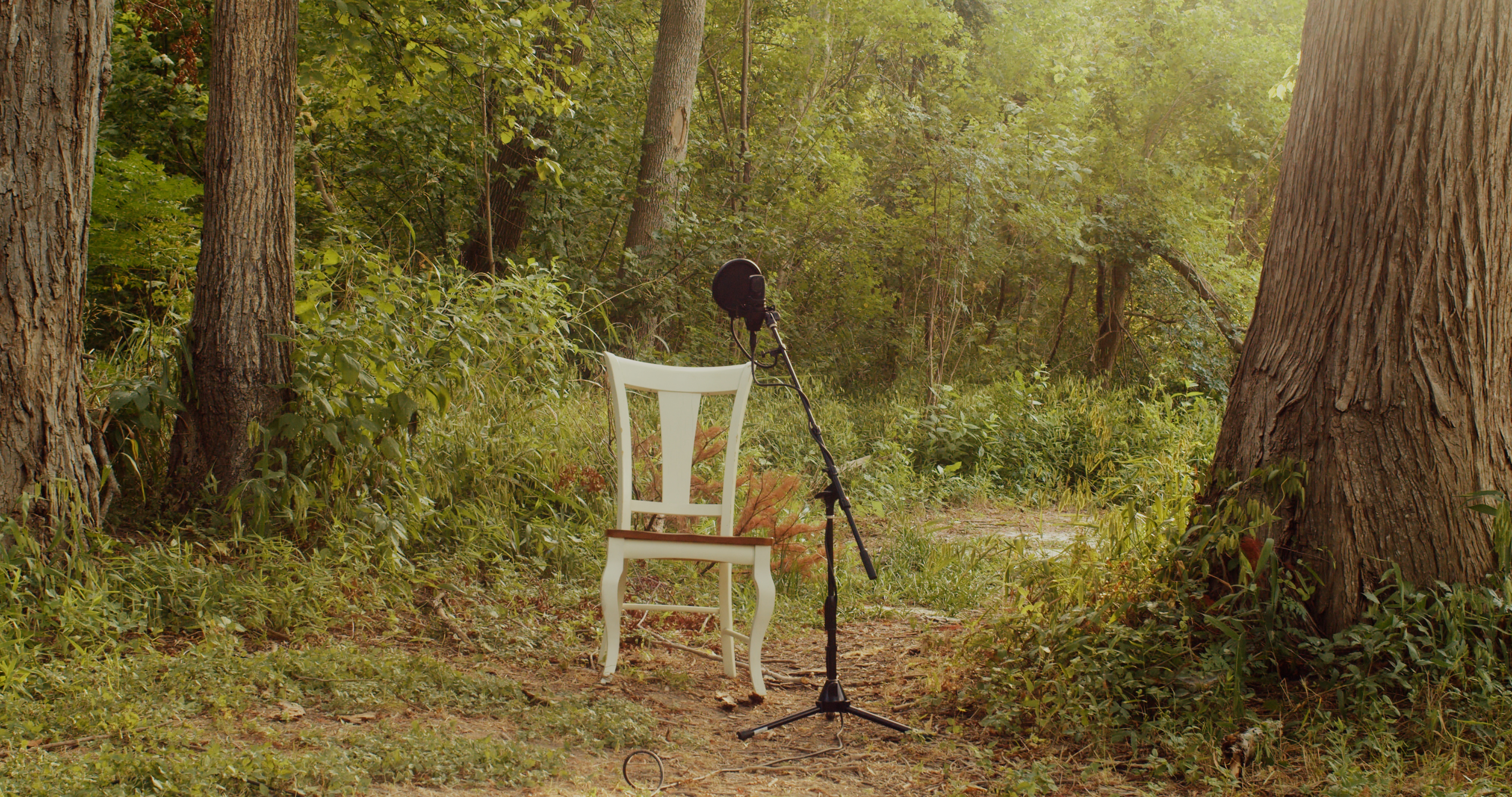 Empty chair and microphone setup in the woods
